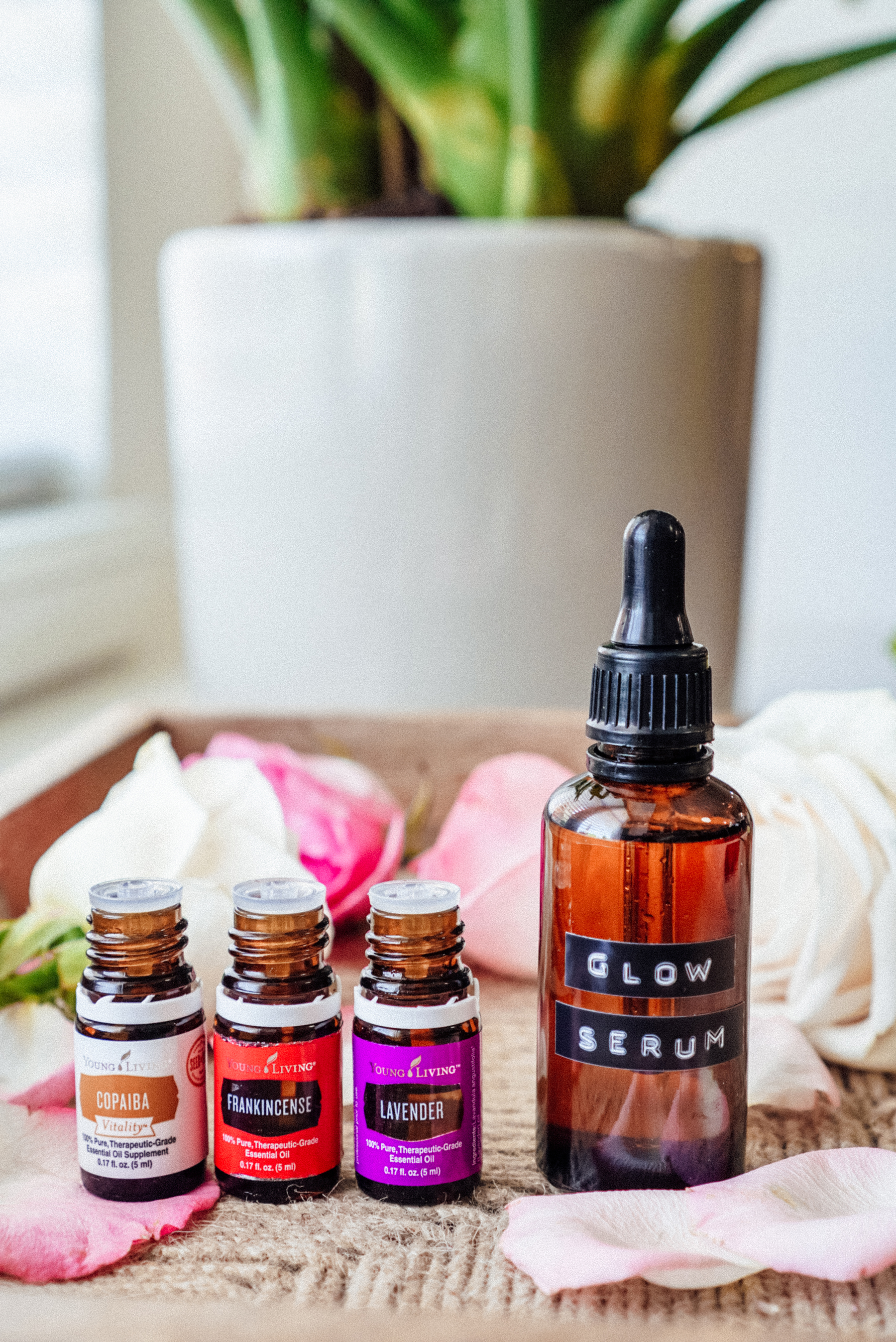 Needing to take better care of your skin? Look no further than my DIY essential oil glow serum. It's great for oily to dry to normal skin!